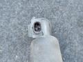 маслоотделитель (сапун) BMW 2 серия F22/F23 F22 2015, 1.5 л., B38 B15 A, бензин, МКПП, купе, 7623745 - фото №3