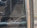 стекло заднее BMW 5 серия F07/F10/F11 F10 2011, 2.0 л., дизель, АКПП, седан, правый руль - фото №5