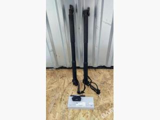 амортизатор крышки багажника (3-5 двери) BMW 3 серия F30/F31/F34 2014, 3.0 л., N57 D30 A, дизель, АКПП, седан