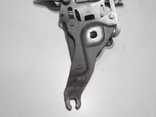 петля капота правая BMW X5 E70 2008, 3.0 л., M57 D30 (306D3), дизель, внедорожник 5 дв., 7148348