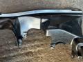 кожух (защита) рулевого механизма BMW 5 серия F07/F10/F11 F10 2011, 2.0 л., дизель, АКПП, седан, правый руль, 7267563 - фото №3