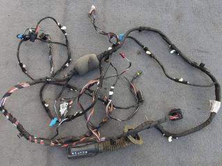 дверная проводка BMW X3 G01 2019, 2.0 л., B47 D20 B, дизель, АКПП, 416, внедорожник 5 дв., 8792325, 8792270