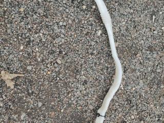горловина бачка омывателя BMW 5 серия F07/F10/F11 F10 2012, 2.0 л., дизель, АКПП, седан, 7203270, 7238068
