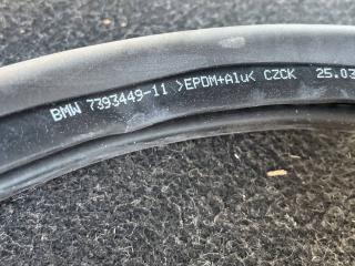 уплотнитель двери BMW X3 G01 2021, 2.0 л., B48 B20 A, бензин, АКПП, внедорожник 5 дв., 7393449