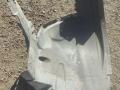 защита арок задняя левая (подкрылок) BMW X5 E70 2008, 3.5 л., D, M57 D30 (306D5), дизель, АКПП, 475, внедорожник 5 дв., полный привод, правый руль - фото №2