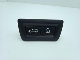 кнопка открытия багажника BMW 5 серия G30/G31 G31 2017, 3.0 л., B57 D30 A, дизель, АКПП, универсал, полный привод, 9275121