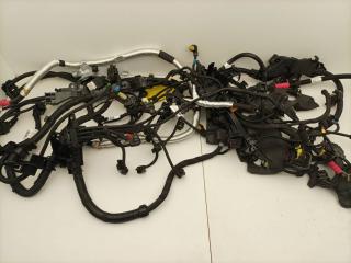 проводка двигателя BMW X3 G01 2021, 2.0 л., B48 B20 A, бензин, АКПП, внедорожник 5 дв., 8485066, 8482364, 8482375, 8483811, 8482367, 8743498
