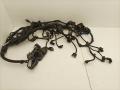 проводка двигателя BMW 5 серия G30/G31 2019, 2.0 л., D, B47 D20 B, дизель, АКПП, 416, седан, задний привод, правый руль, 8476021, 9824950, 9824949, 8479685, 8580192, 8581459 - фото №4