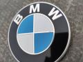 эмблема BMW M2 F87 2016, 3.0 л., i, N55 B30 A, бензин, МКПП, купе, задний привод, правый руль, 8219237 - фото №2