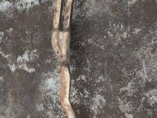 глушитель BMW 7 серия F01/F02 F01 2009, 3.0 л., дизель, правый руль