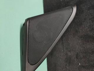 сетка на динамик BMW 7 серия F01/F02 2012, 4.4 л., i, N63 B44 A, бензин, АКПП, седан, полный привод, 51357226611