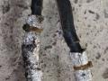 плюсовой провод аккумулятора BMW 5 серия G30/G31 G30 2017, 2.0 л., i, B48 B20 A, гибрид, АКПП, 475 black-sapphire metallic, седан, задний привод, правый руль, 6807332, 6807331 - фото №4