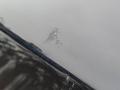 дверь задняя левая BMW X6 E71/E72 E71 2011, 4.4 л., N63 B44 A, бензин, АКПП, внедорожник 5 дв. - фото №5