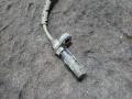 датчик ABS BMW X5 E53 2002 - фото №3