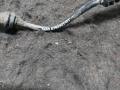 датчик ABS BMW 6 серия F06/F12/F13 F06 2012, 4.0 л., D, дизель, АКПП, седан, задний привод, правый руль, 6784901, 34526784901 - фото №2