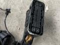 проводка BMW X3 G01 2018, 2.0 л., i, B46 B20 B, бензин, АКПП, 668, внедорожник 5 дв., полный привод - фото №2
