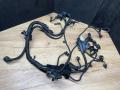 проводка двигателя BMW X3 G01 2018, 2.0 л., i, B46 B20 B, бензин, АКПП, 668, внедорожник 5 дв., полный привод, 8658843, 8681952, 8658840, 8658836, 8658838 - фото №4