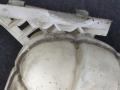 бачок расширительный BMW 4 серия F32/F33 F32 2016, 2.0 л., N47 D20 C, дизель, АКПП, 475, купе, задний привод, правый руль, 7642160 - фото №2