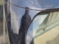 крышка багажника (дверь 3-5) BMW 1 серия F40 2022, 1.6 л., дизель, АКПП, 475, хетчбэк 5 дв., передний привод, правый руль - фото №5
