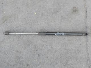 амортизатор капота BMW Z4 E89 (2009 - 2016), 2.0 л., i, N20 B20 B, бензин, МКПП, b39 mineral-grau metallic, родстер, задний привод, правый руль, 7285823