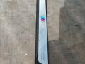 комплект накладок на пороги (внутренние) BMW Z4 E89 (2009 - 2016), 2.0 л., i, N20 B20 B, бензин, МКПП, b39 mineral-grau metallic, родстер, задний привод, правый руль, 51478040124, 51478040123 - фото №5