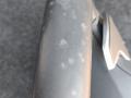 руль BMW 5 серия G30/G31 G30 2018, 2.0 л., B48 B20 A, бензин, АКПП, синий, седан, задний привод, правый руль - фото №3