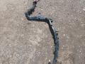 плюсовой провод аккумулятора BMW 3 серия G20 2021, 4.0 л., B57 D30 B, дизель, АКПП, серый, седан, полный привод, 9107456, 9107457 - фото №3