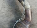 катализатор BMW M8 F91/92 F91 2020, 4.4 л., i, S63 B44 B, бензин, АКПП, 490, кабриолет, полный привод, правый руль, 8053527, 8053526 - фото №6