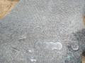 рычаг задний нижний BMW 5 серия F07/F10/F11 2011, 3.0 л., N57 D30 A, дизель, АКПП, седан, 333326794876 - фото №2