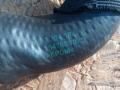 патрубок радиатора BMW X5 E70 2008, 3.0 л., M57 D30 (306D3), дизель, АКПП, внедорожник 5 дв., 6945282, 7794154 - фото №2