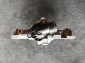 помпа BMW X3 G01 2019, 2.0 л., B47 D20 B, дизель, АКПП, 416, внедорожник 5 дв., 2805718 - фото №5
