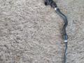 патрубок радиатора BMW 5 серия F07/F10/F11 2011, 4.4 л., i, N63 B44 B, бензин, АКПП, 475, хетчбэк 5 дв., задний привод, 17127575432, 17127575435 - фото №2
