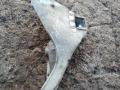 кронштейн двигателя BMW 5 серия F07/F10/F11 2011, 3.0 л., бензин, АКПП, седан, 6781258 - фото №2