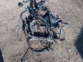 проводка двигателя BMW 7 серия F01/F02 2012, 3.0 л., N54 B30 A, бензин, АКПП, седан