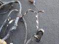 дверная проводка BMW i3 L01 I01 2014, 0.6 л., бензин, электро, задний привод, правый руль, 9349204, 9349900 - фото №2