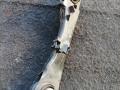 рычаг задний правый BMW M5 F90 2020, 4.4 л., S63 B44 B, бензин, АКПП, седан, полный привод, правый руль, 33326867538, 6867538 - фото №2