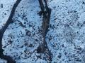 проводка BMW X5 M E70 2010, 4.4 л., S63 B44 A, бензин, АКПП, внедорожник 5 дв., 7575579, 7575580 - фото №2