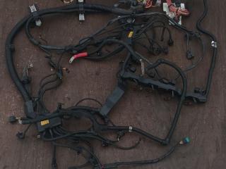 проводка двигателя BMW X5 M E70 2010, 4.4 л., S63 B44 A, бензин, АКПП, внедорожник 5 дв., 7598318, 7575174