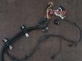 проводка двигателя BMW X5 M E70 2010, 4.4 л., S63 B44 A, бензин, АКПП, внедорожник 5 дв., 7598318, 7575174 - фото №2