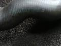 патрубок (трубопровод, шланг) BMW 6 серия F06/F12/F13 F06 2012, 4.0 л., D, дизель, АКПП, седан, задний привод, правый руль, 8511928 - фото №3