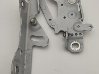 петля капота правая BMW 3 серия F30/F31 [рестайлинг] F31 2015, 2.0 л., D, дизель, 6МКПП, универсал, полный привод, правый руль, 7336700