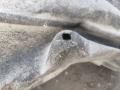защита арок задняя левая (подкрылок) BMW X5 G05 2021, 4.0 л., B58B30C, гибрид, АКПП, 475 black-sapphire metallic, внедорожник 5 дв., полный привод, 7478757, 51717478757 - фото №5