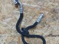 трубка кондиционера BMW 2 серия F22/F23 F22 2015, 1.5 л., B38 B15 A, бензин, МКПП, купе, 2555736, 64539337134 - фото №3