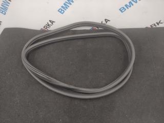 уплотнитель двери BMW X3 G01 2019, 2.0 л., B46 B20 B, бензин, АКПП, 668, внедорожник 5 дв., задний привод, 7393449