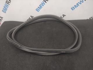 уплотнитель двери BMW X3 G01 2019, 2.0 л., B46 B20 B, бензин, АКПП, 668, внедорожник 5 дв., задний привод, 7393449