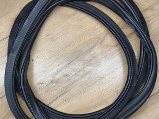 уплотнитель двери BMW X5 G05 2021, 4.0 л., B58B30C, гибрид, АКПП, 475 black-sapphire metallic, внедорожник 5 дв., полный привод, 7428696