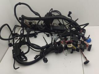 проводка двигателя BMW 7 серия F01/F02 2011, 3.0 л., N54 B30 A, бензин, АКПП, седан