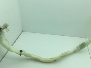 горловина бачка омывателя BMW 7 серия F01/F02 2011, 3.0 л., N54 B30 A, бензин, АКПП, седан, 11868015