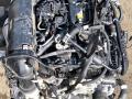 двигатель BMW X1 U11 2023, 2.0 л., бензин, АКПП, 475, внедорожник 5 дв., полный привод - фото №4