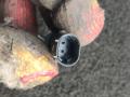 датчик ABS BMW X1 U11 2023, 2.0 л., бензин, АКПП, 475, внедорожник 5 дв., полный привод, 5A3BAF7 - фото №6